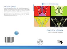 Bookcover of Chalcoela iphitalis