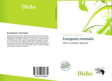 Couverture de Evergestis rimosalis