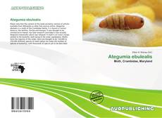 Portada del libro de Ategumia ebulealis