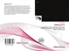 Copertina di Gliese 317