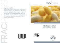 Copertina di Glyphodes sibillalis