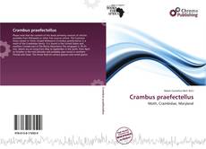 Capa do livro de Crambus praefectellus 