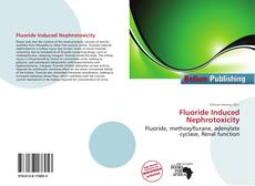 Copertina di Fluoride Induced Nephrotoxicity