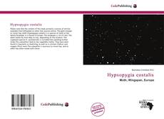 Hypsopygia costalis的封面