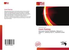 Bookcover of Liam Feeney