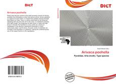 Arivaca poohella的封面
