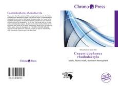 Bookcover of Cnaemidophorus rhododactyla