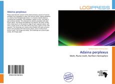Borítókép a  Adaina perplexus - hoz