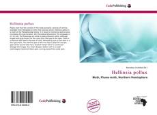 Hellinsia pollux的封面