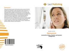 Borítókép a  Epimysium - hoz