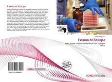 Fascia of Scarpa的封面