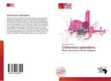 Bookcover of Citheronia splendens