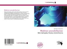 Madoryx pseudothyreus的封面