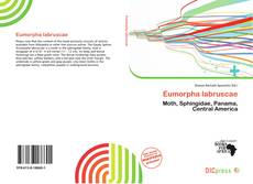 Copertina di Eumorpha labruscae