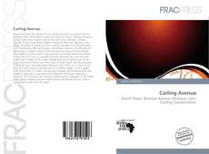Couverture de Carling Avenue