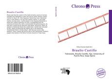 Portada del libro de Braulio Castillo