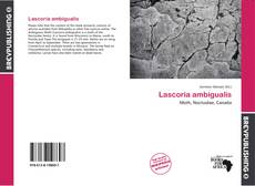 Buchcover von Lascoria ambigualis