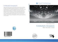 Capa do livro de Colobochyla interpuncta 