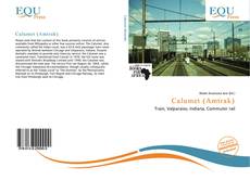 Buchcover von Calumet (Amtrak)