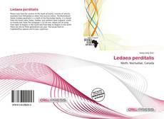 Ledaea perditalis的封面