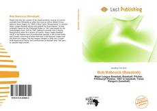 Capa do livro de Bob Babcock (Baseball) 