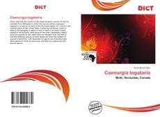 Couverture de Caenurgia togataria