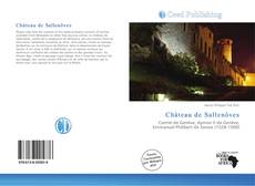Capa do livro de Château de Sallenôves 