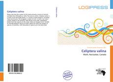 Borítókép a  Celiptera valina - hoz