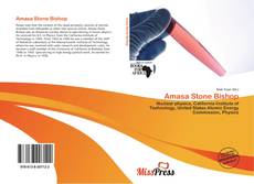 Обложка Amasa Stone Bishop