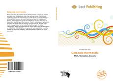 Couverture de Catocala marmorata