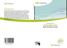 Catocala irene kitap kapağı