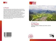 Bookcover of Le Pouzin
