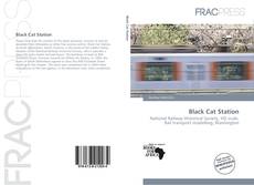 Couverture de Black Cat Station