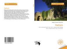 Bookcover of Halluin