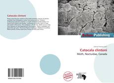 Borítókép a  Catocala clintoni - hoz