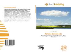 Couverture de Adriana Calcanhotto