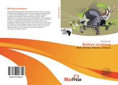 Bookcover of Baileya acadiana