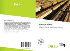 Couverture de Brunot Island