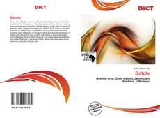 Couverture de Batote