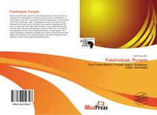 Bookcover of Fatehabad, Punjab
