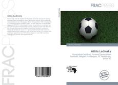 Couverture de Attila Ladinsky