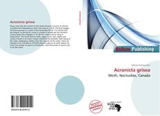 Copertina di Acronicta grisea