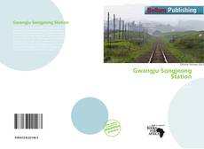 Borítókép a  Gwangju·Songjeong Station - hoz