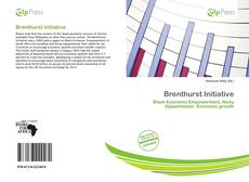 Couverture de Brenthurst Initiative
