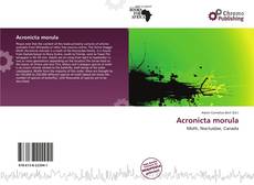 Couverture de Acronicta morula