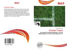 Buchcover von Cristian Todea