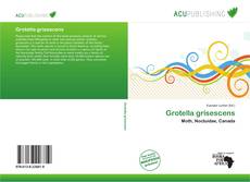 Grotella grisescens的封面
