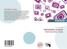 Borítókép a  Heliocheilus turbata - hoz