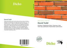 Couverture de David Todd