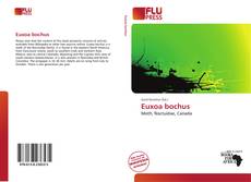 Copertina di Euxoa bochus